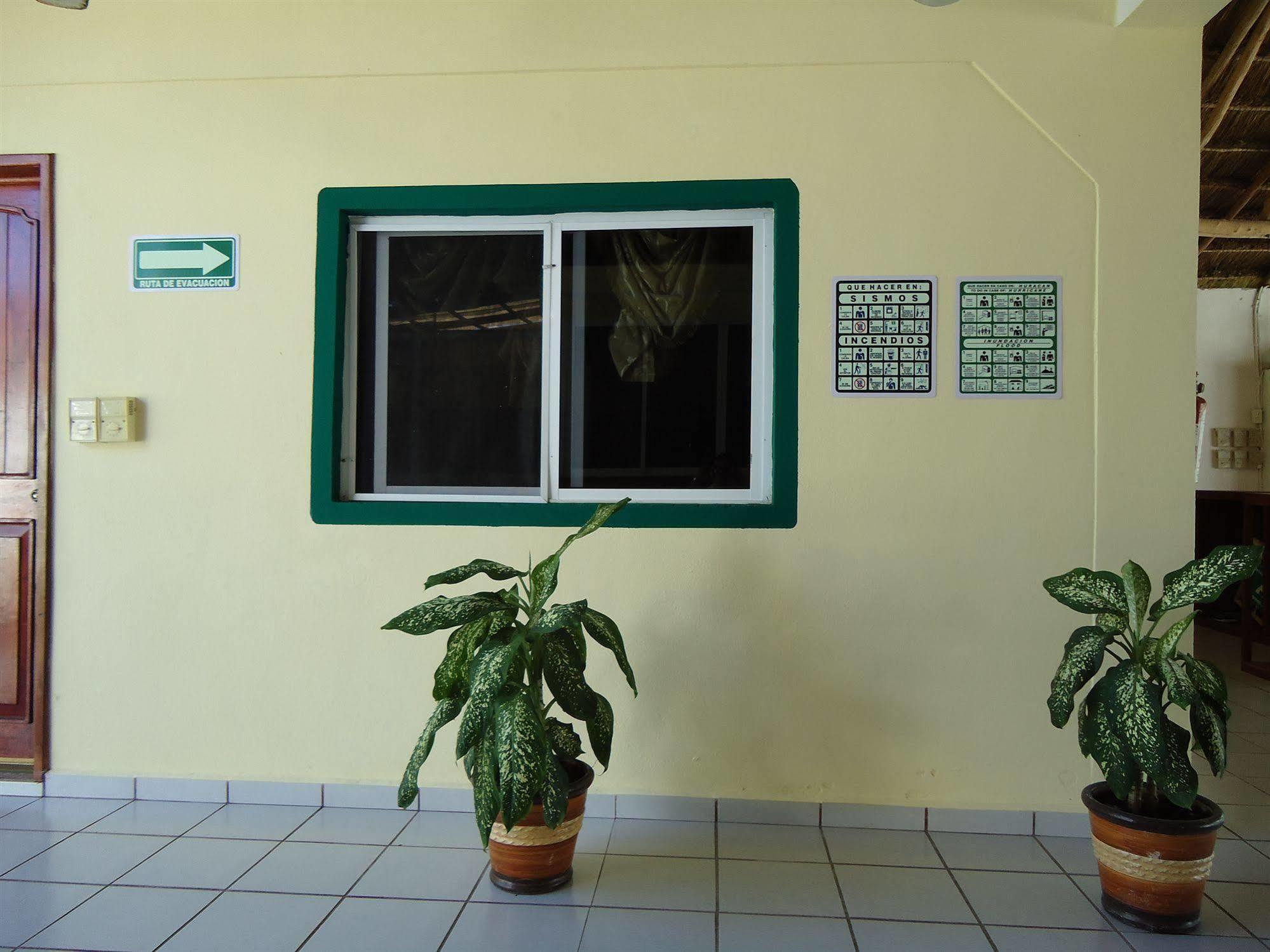 Oyo Hotel Palma Real ตูลุม ภายนอก รูปภาพ